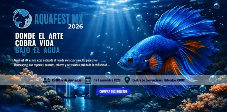 Aquafest MX 2026